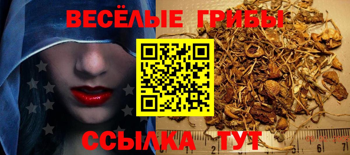 Галлюциногенные грибы ЛСД Ипатово